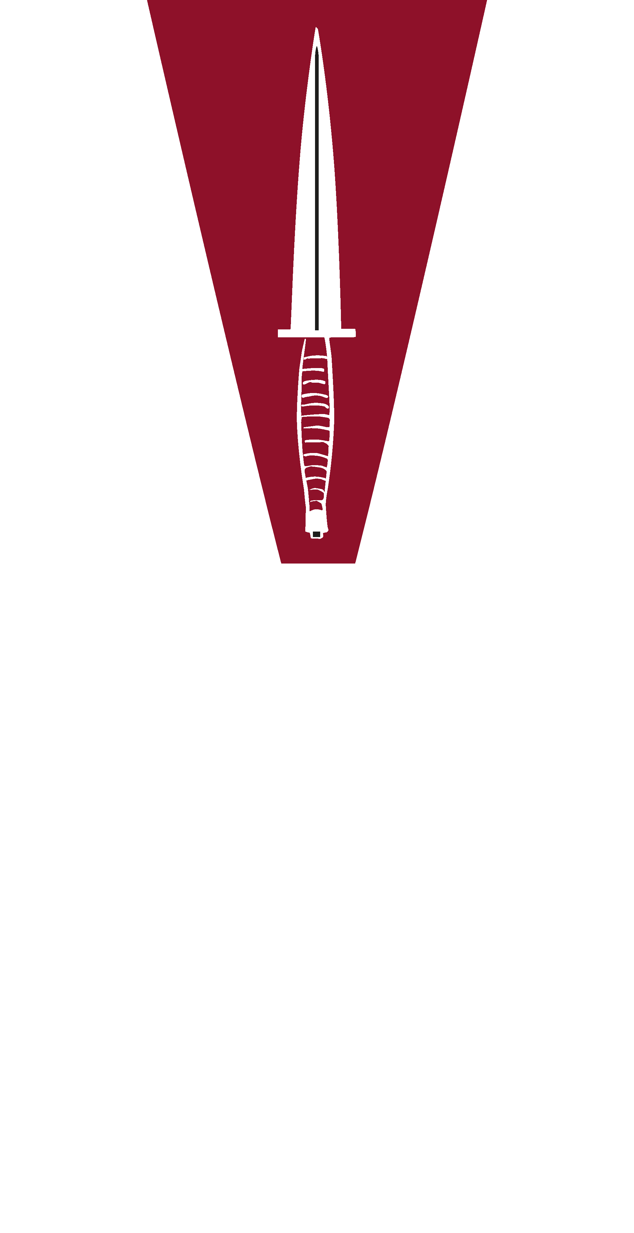 2eme Bn Para Commando New Logo Vector Logo
